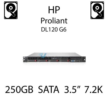 250GB 3.5" dedykowany dysk serwerowy SATA do serwera HP Proliant DL120 G6, HDD Enterprise 7.2k, 150MB/s - 397553-001 (REF)