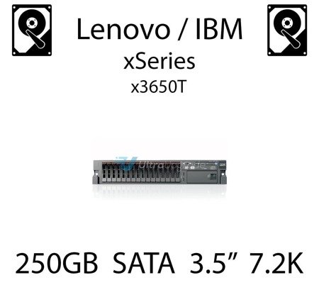 250GB 3.5" dedykowany dysk serwerowy SATA do serwera Lenovo / IBM System x3650T, HDD Enterprise 7.2k, 300MB/s - 39M4508 (REF)